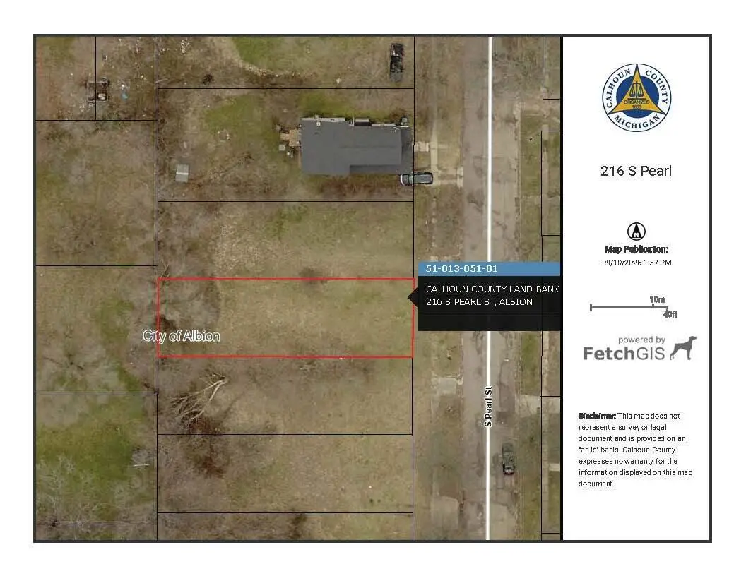 216 S Pearl Street, Albion, MI 49224 - #1