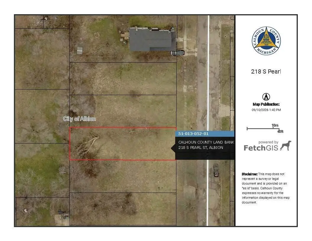 218 S Pearl Street, Albion, MI 49224 - #1