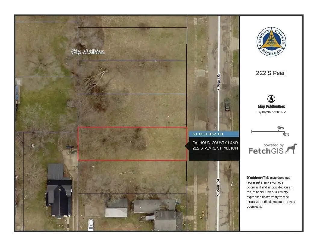 222 S Pearl Street, Albion, MI 49224 - #1