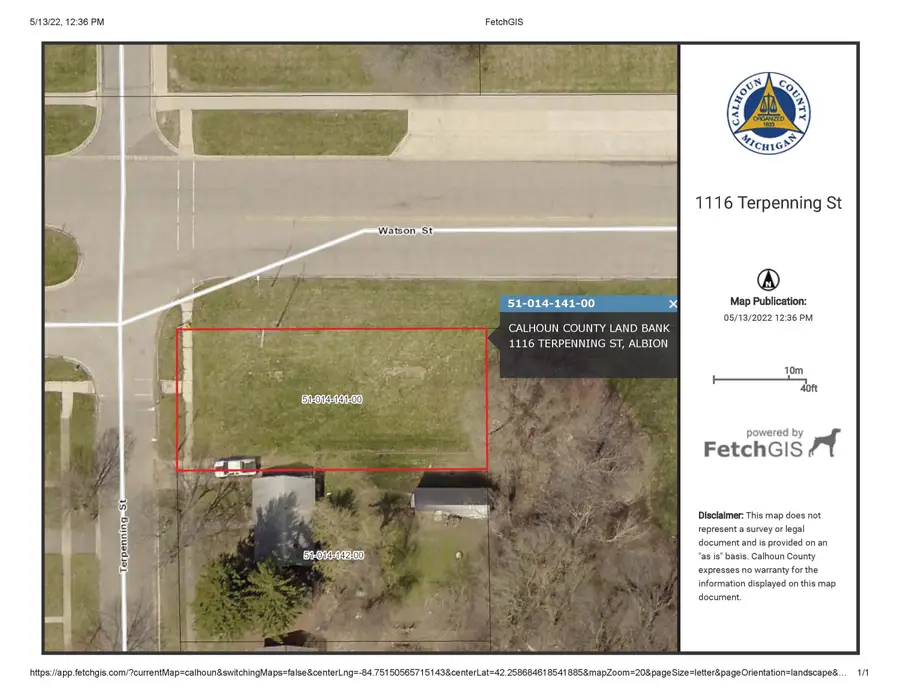 1116 Terpenning Street, Albion, MI 49224 - #2