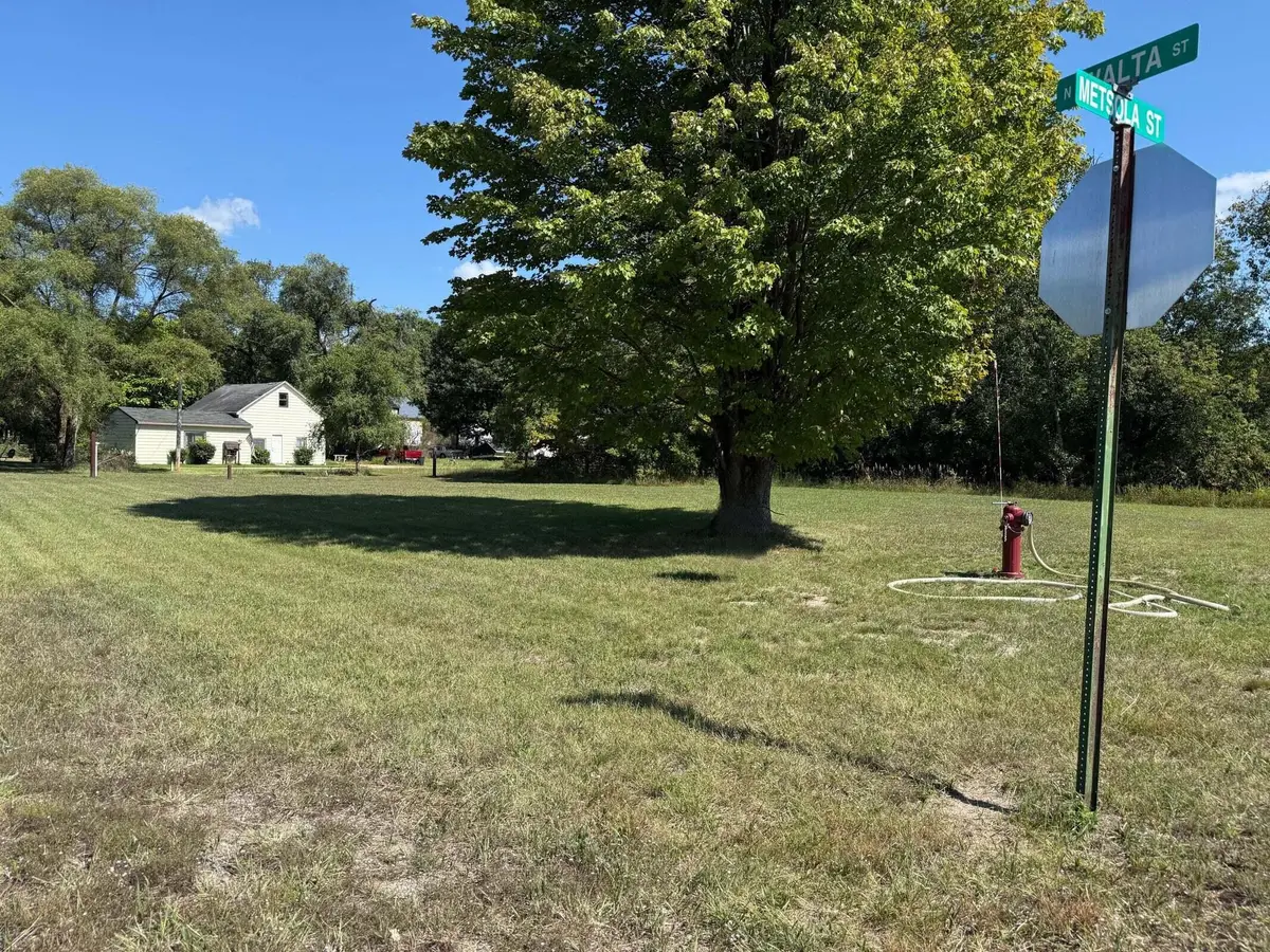 9129 Walta Street, Kaleva, MI 49645 - #1
