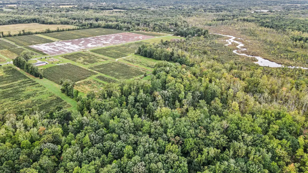 County Road 653, Gobles, MI 49055 - #1
