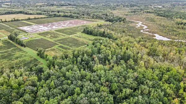 County Road 653, Gobles, MI 49055