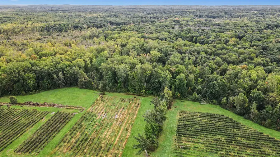 County Road 653, Gobles, MI 49055 - #3