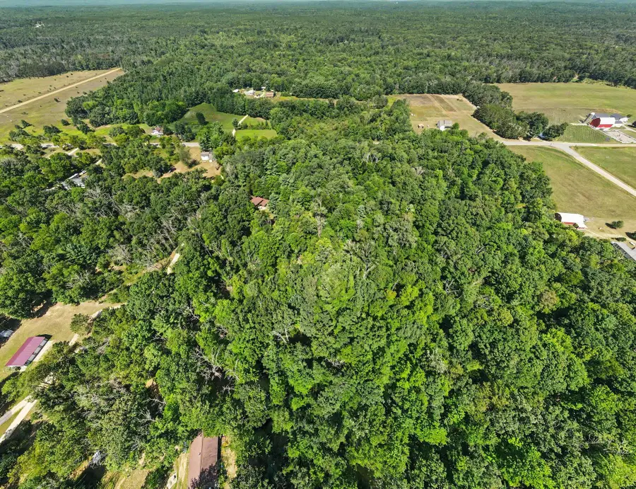 21801 W Cutler Road, Howard City, MI 49329 - #2