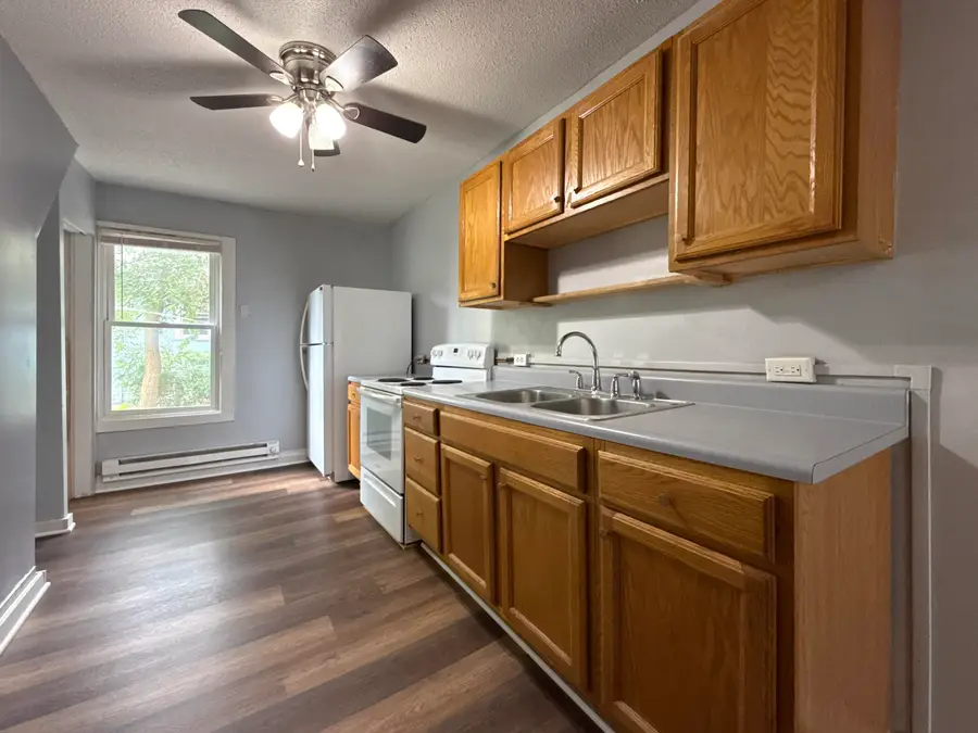 507 Orchard Street, Dowagiac, MI 49047 - #3