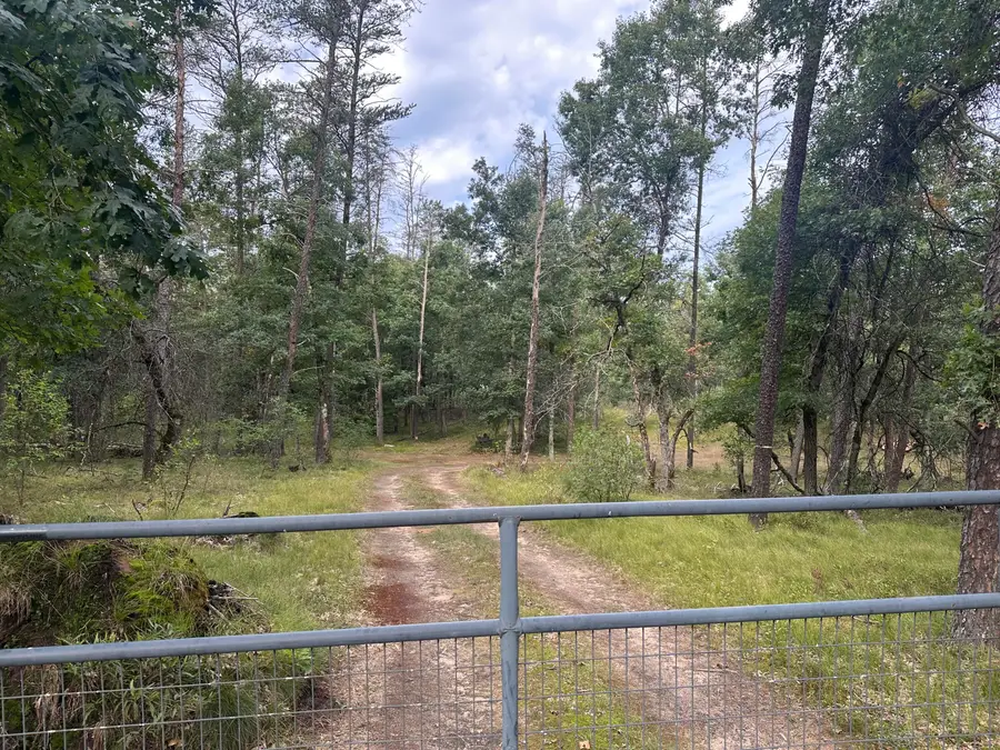7251 S Clay Banks Road, Baldwin, MI 49304 - #2