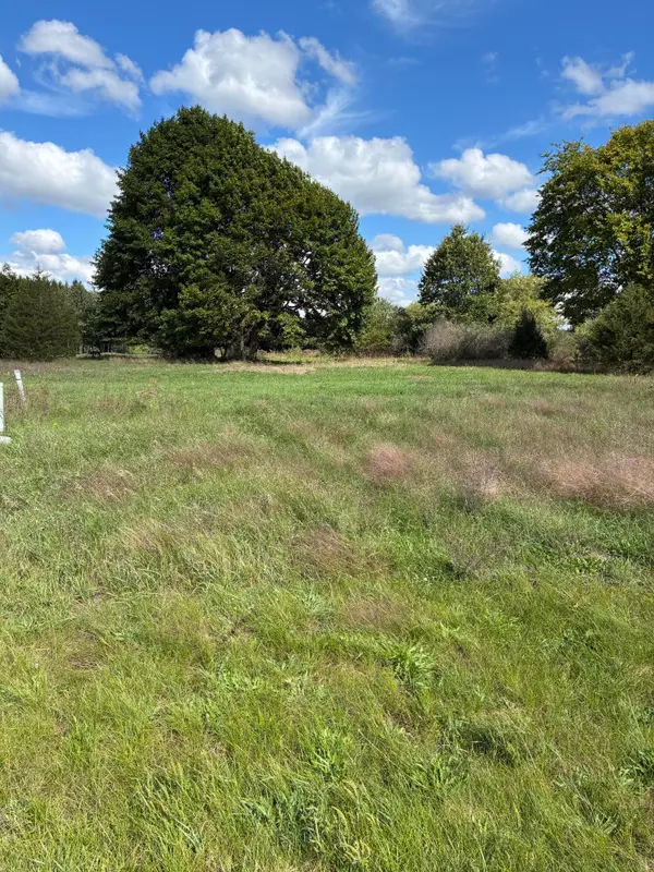 W Ellis Avenue, Belding, MI 48809