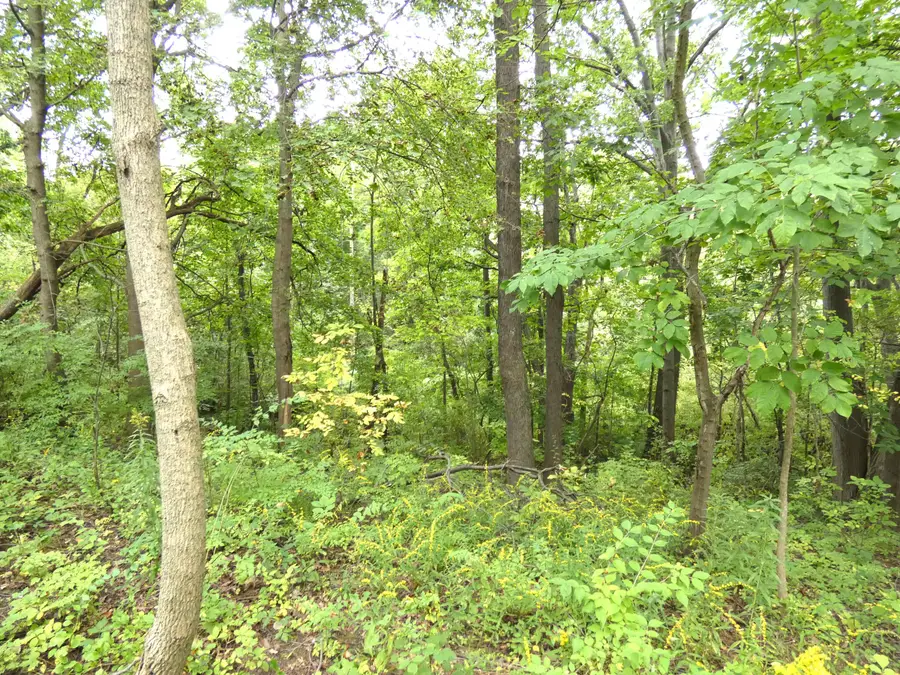 530 Rembert Court, Benton Harbor, MI 49022 - #2