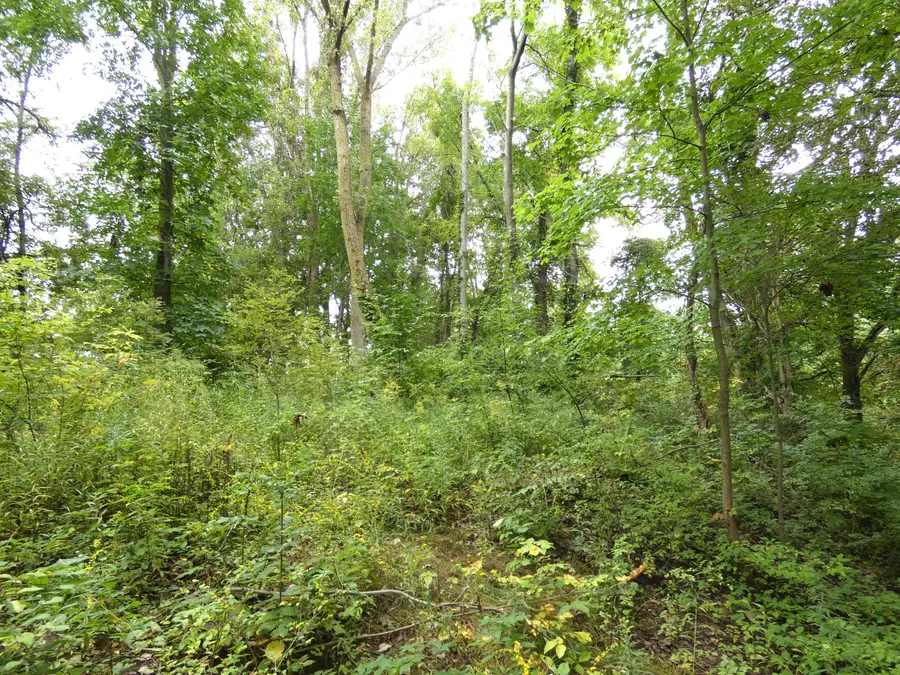 530 Rembert Court, Benton Harbor, MI 49022 - #3