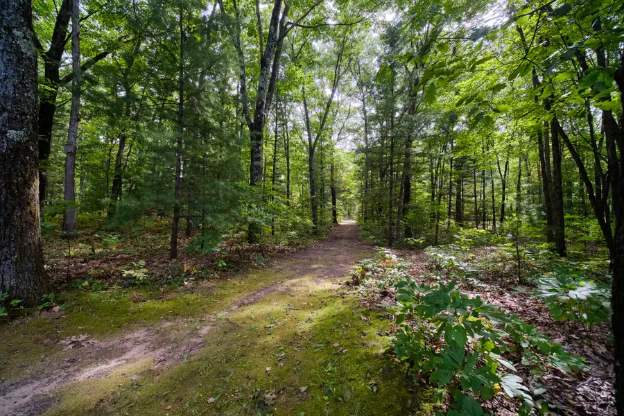 17349 Hoxeyville Road, Wellston, MI 49689 - #3