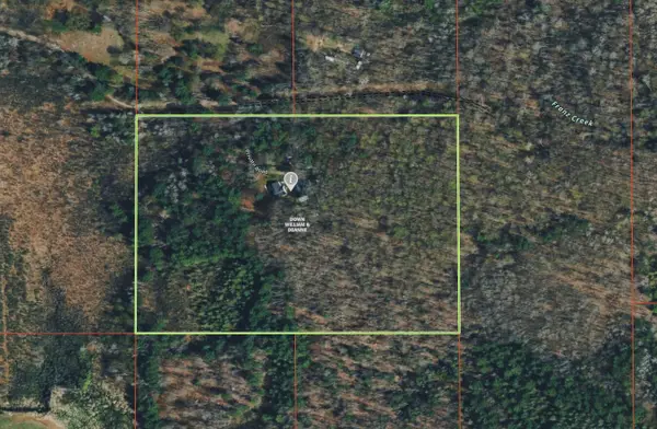 11781 Downs Drive, Leroy, MI 49655