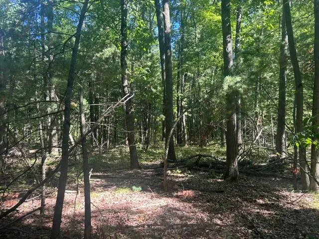 9 Mile Road, Stanwood, MI 49346 - #1