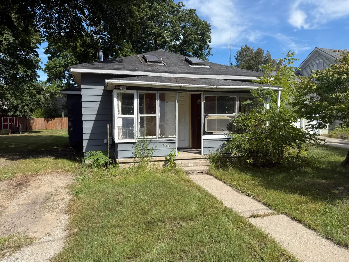 223 Washington Avenue, Lakeview, MI 48850 - #1