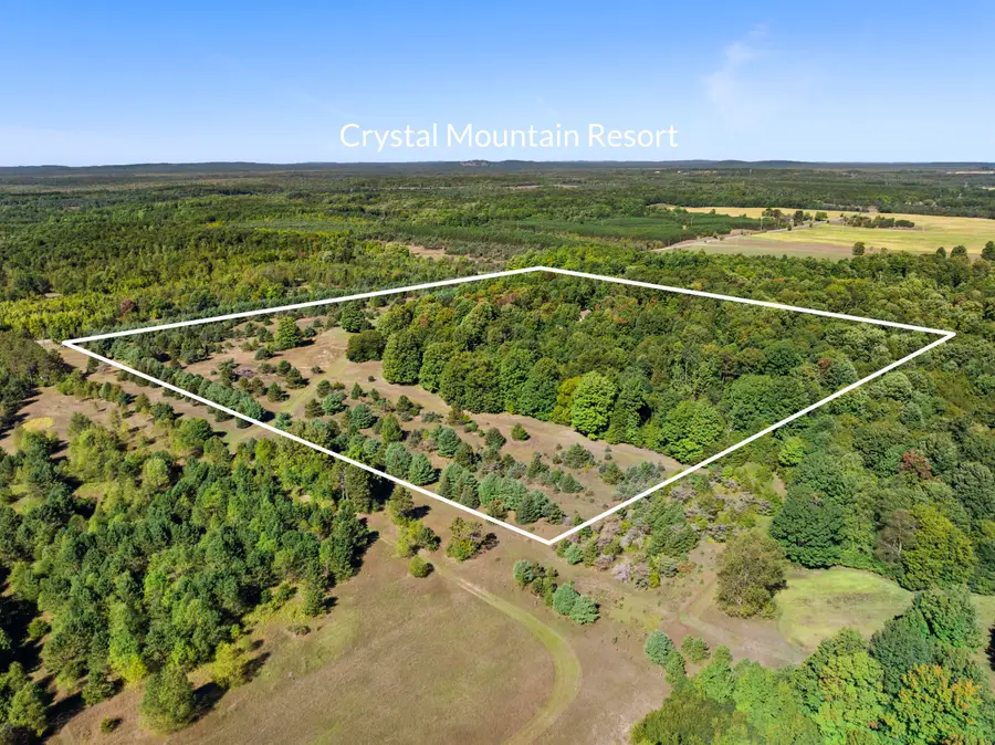 21125 Valencourt Road, Copemish, MI 49625 - #3