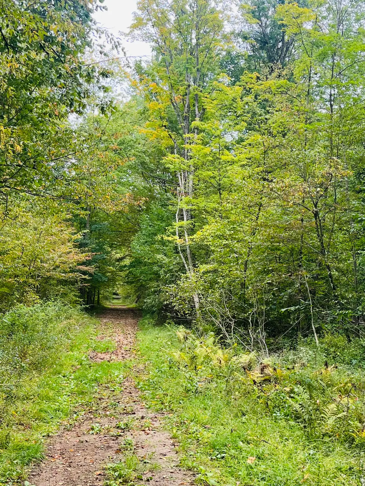 00 200th Avenue, Stanwood, MI 49346 - #1