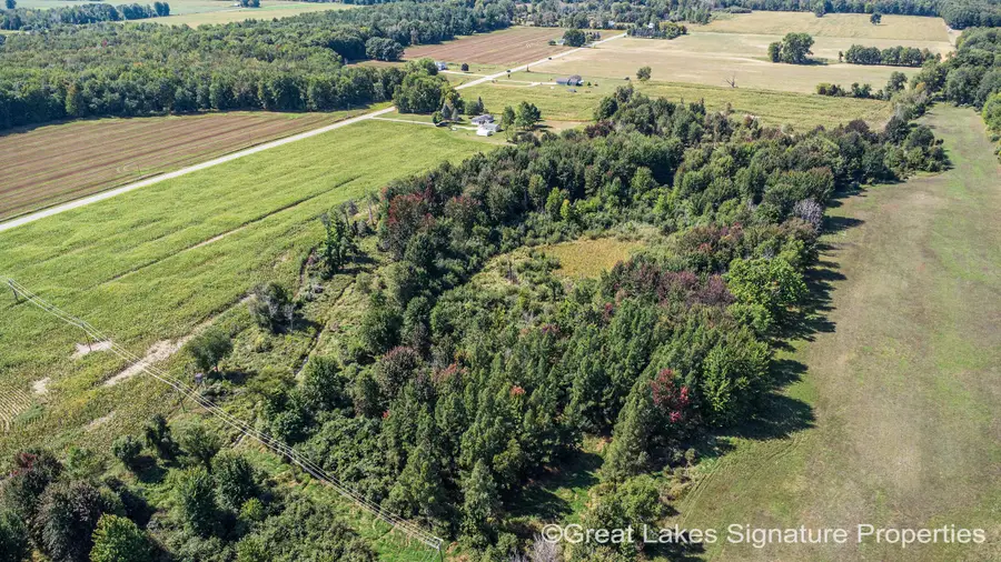 Parcel W Stanton Road #Parcel 2 & 4, Pierson, MI 49339 - #2