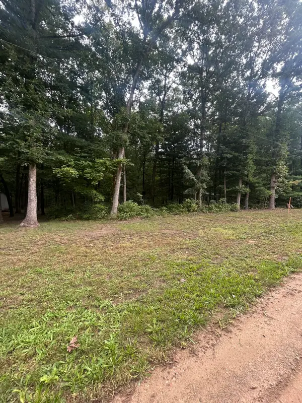 Lot 20 Moore Road, Allegan, MI 49010