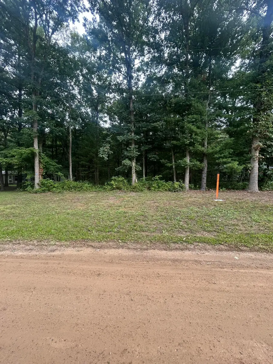 Lot 20 Moore Road, Allegan, MI 49010 - #2