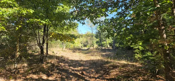 River Ranch Road, Hersey, MI 49639