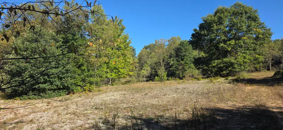 River Ranch Road, Hersey, MI 49639 - #2
