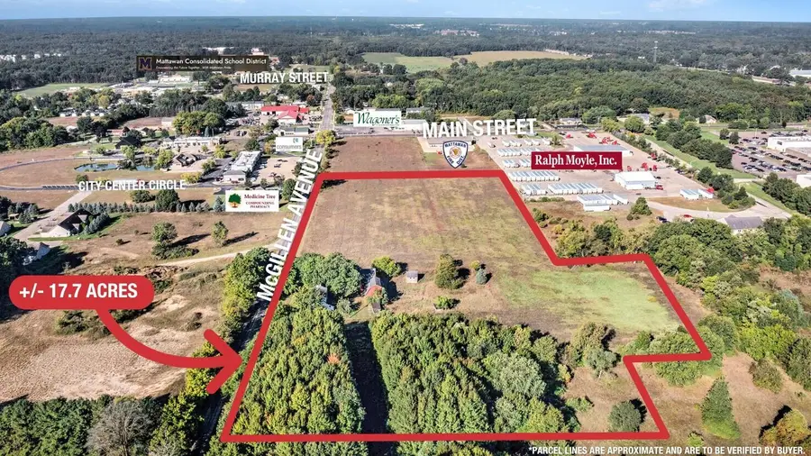 23440 E Mcgillen Avenue #Parcel B, Mattawan, MI 49071 - #2