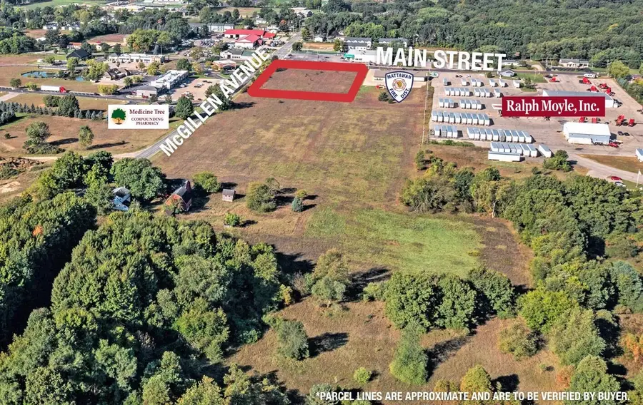 23440 E Mcgillen Avenue #Parcel A, Mattawan, MI 49071 - #2
