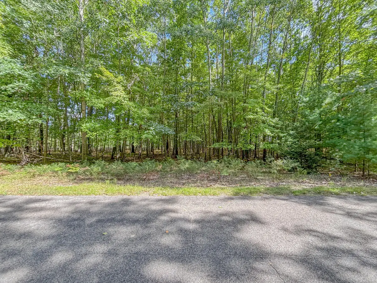 6336 Abbey Lane #24, Canadian Lakes, MI 49346 - #1
