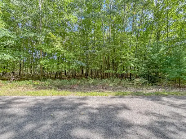 6336 Abbey Lane #24, Canadian Lakes, MI 49346