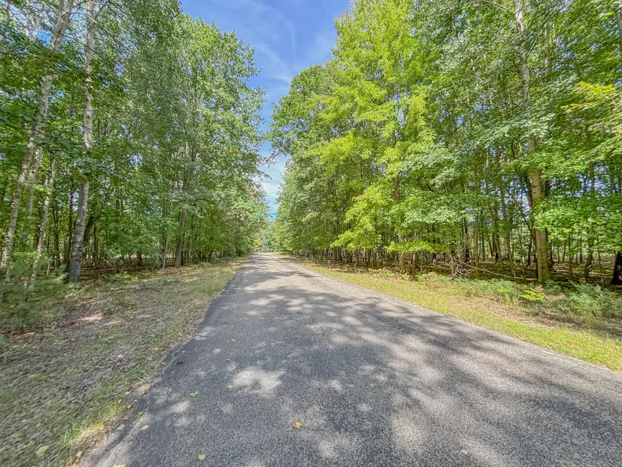6336 Abbey Lane #24, Canadian Lakes, MI 49346 - #3