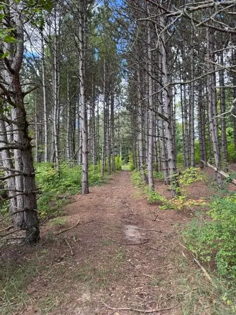 1 Acre Crestview/us Highway 10, Reed City, MI 49677 - #3