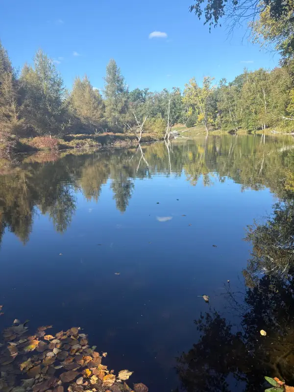 9025 Boggie Drive, Canadian Lakes, MI 49346