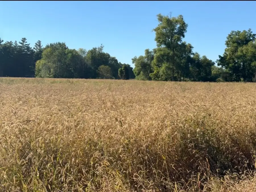 VL Par 5 60th Avenue, Coopersville, MI 49404 - #3