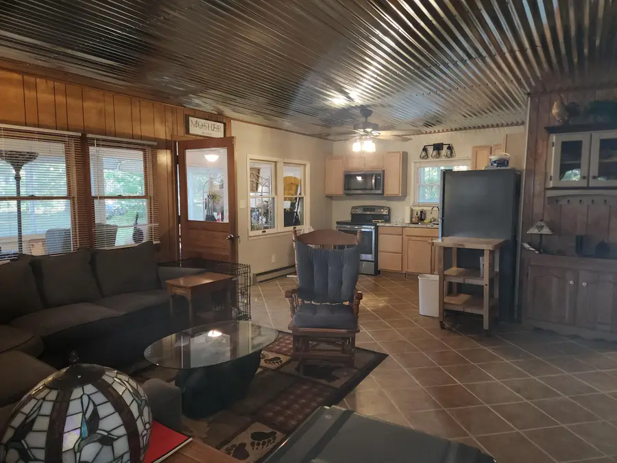 1051 N Timberwolf Trail, Baldwin, MI 49304 - #3