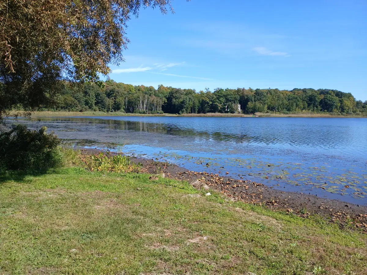 5382 W Oak Point Road, Ludington, MI 49431 - #1