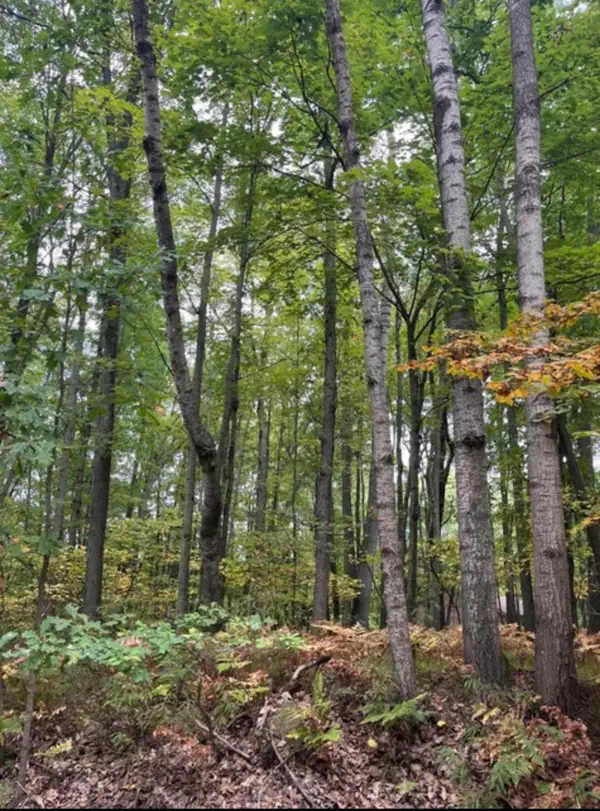 Lot 681 Elm Run, Farwell, MI 48622