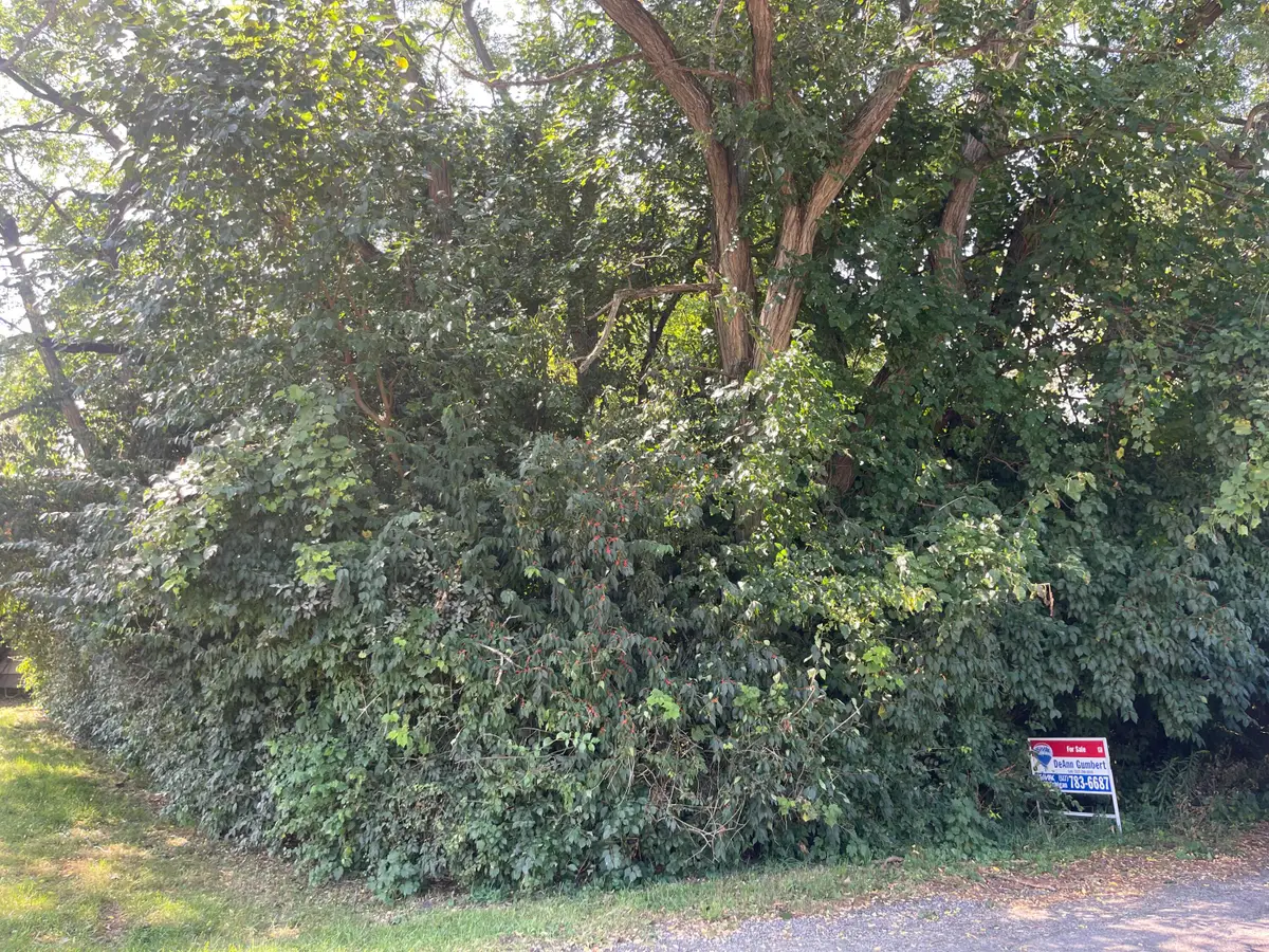 V/L Mcarthur Road, Jackson, MI 49203 - #1