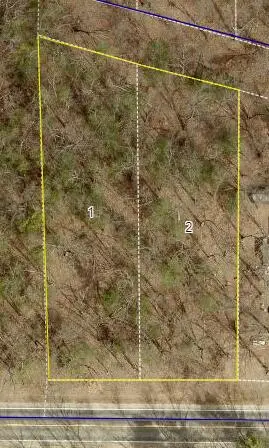 Monroe Vacant Land 2 Parcels Road, Allegan, MI 49010 - #1