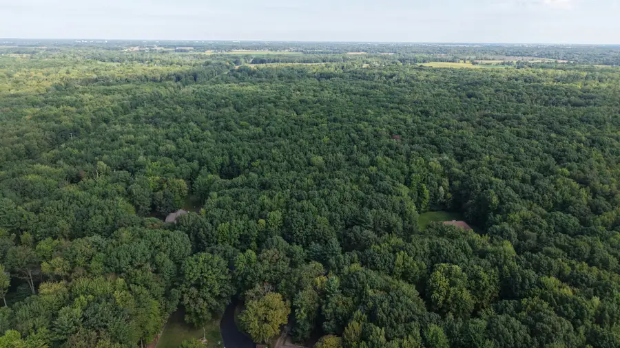 V/L 4.26A Madsen Road, Birch Run, MI 48415 - #3
