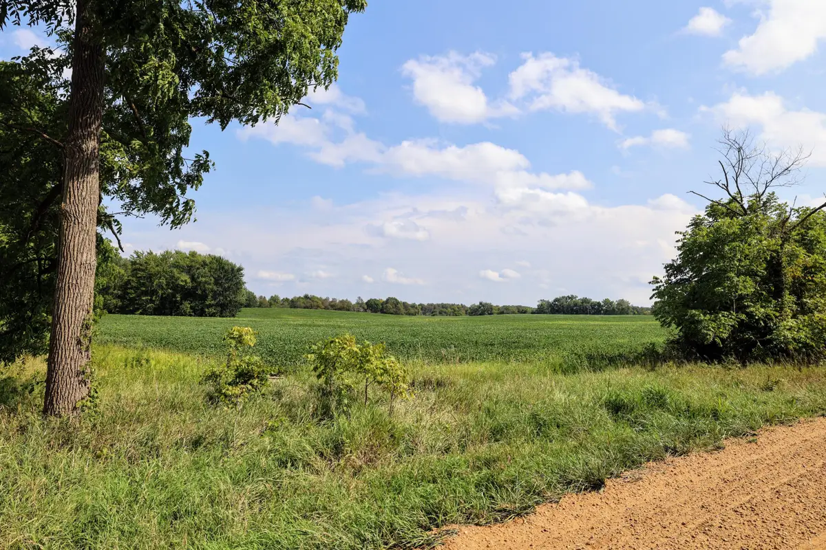 4667 Hill Road, Bellevue, MI 49021 - #1