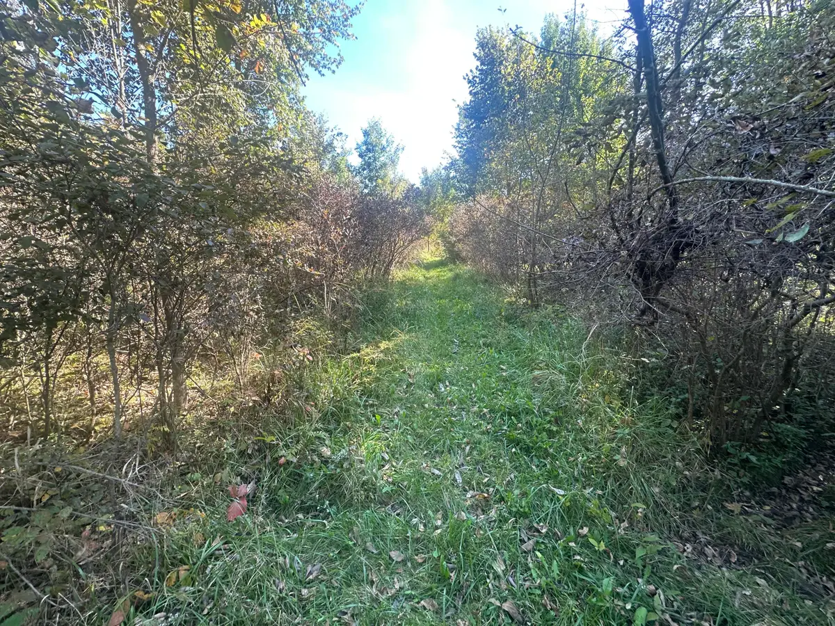VL 20 Mile Road, Marshall, MI 49068 - #1