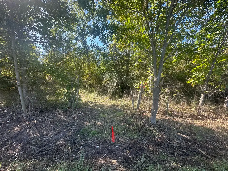 VL 20 Mile Road, Marshall, MI 49068 - #2