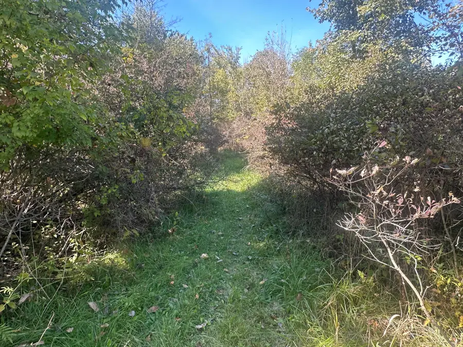 VL 20 Mile Road, Marshall, MI 49068 - #3