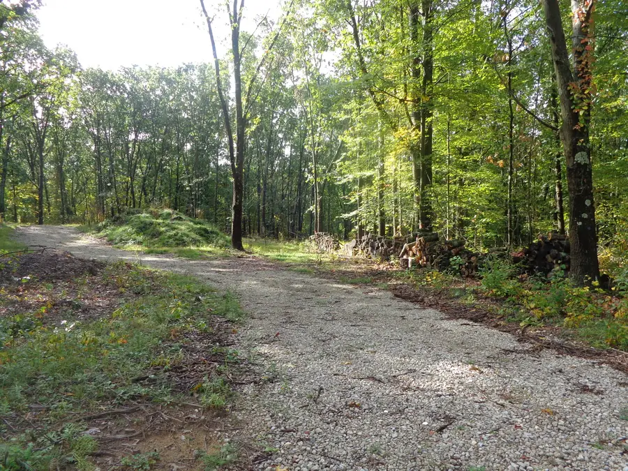 Parcel A 109th Avenue, Pullman, MI 49450 - #2