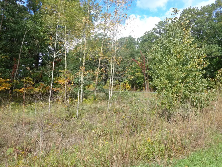 Parcel B 109th Avenue, Pullman, MI 49450 - #3