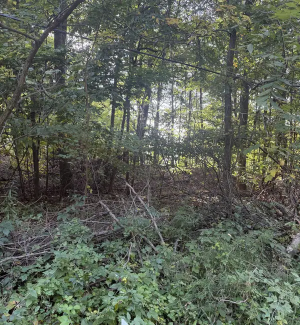 Doster Road, Plainwell, MI 49080