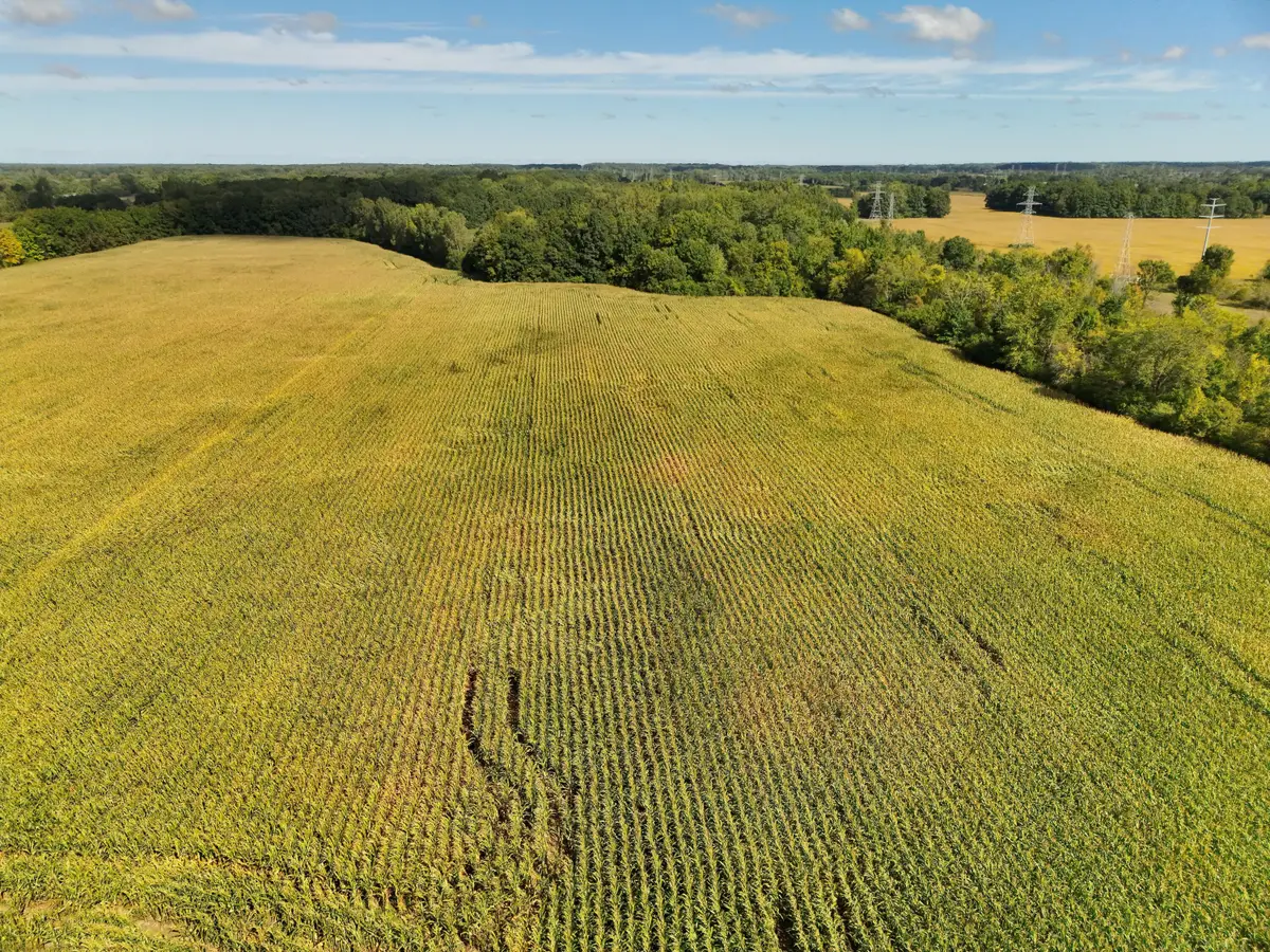 N Bray Road, Clio, MI 48420 - #1