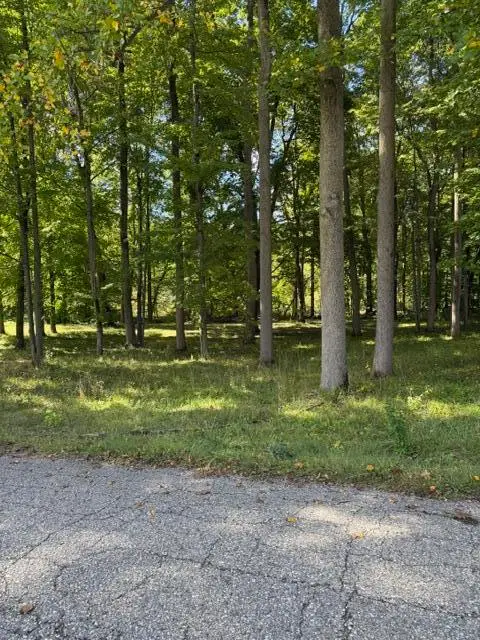 Timberlane Drive, Jones, MI 49061 - #3