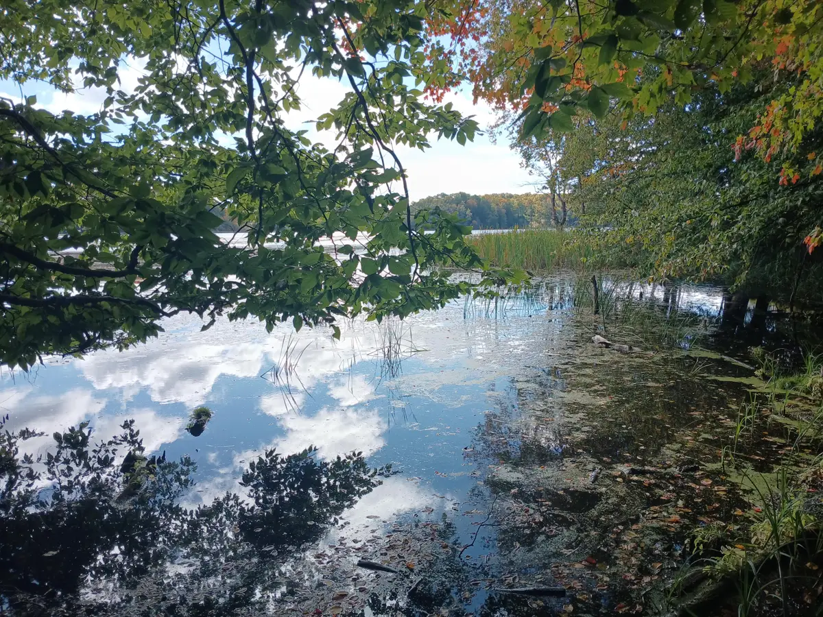 W Nurnberg Road, Free Soil, MI 49411 - #1