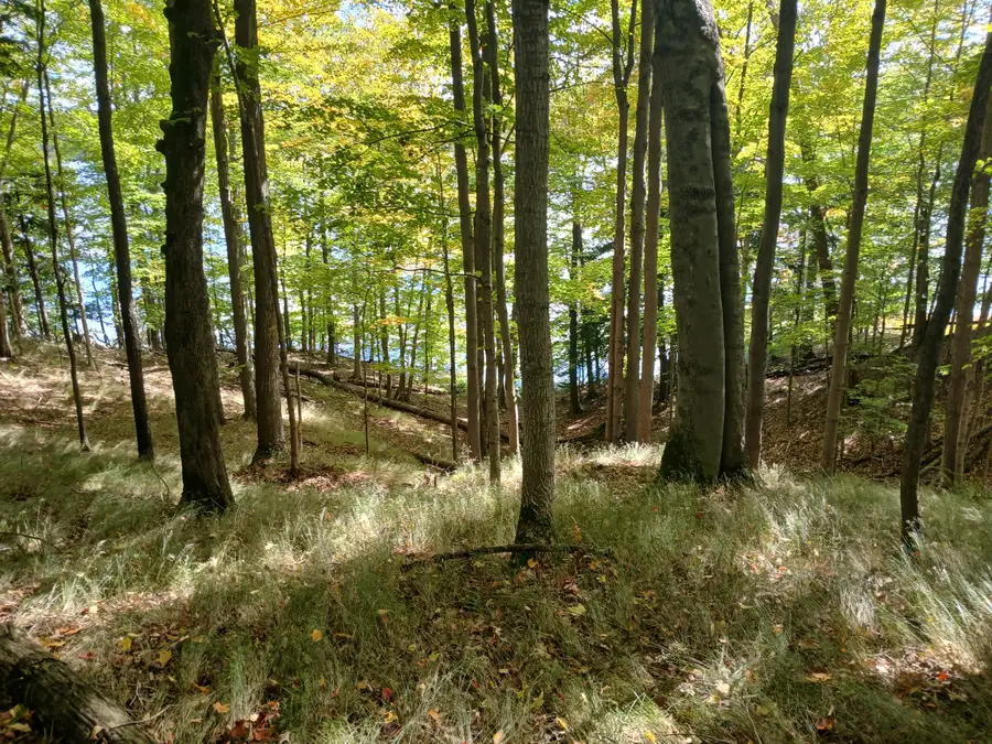 W Nurnberg Road, Free Soil, MI 49411 - #3
